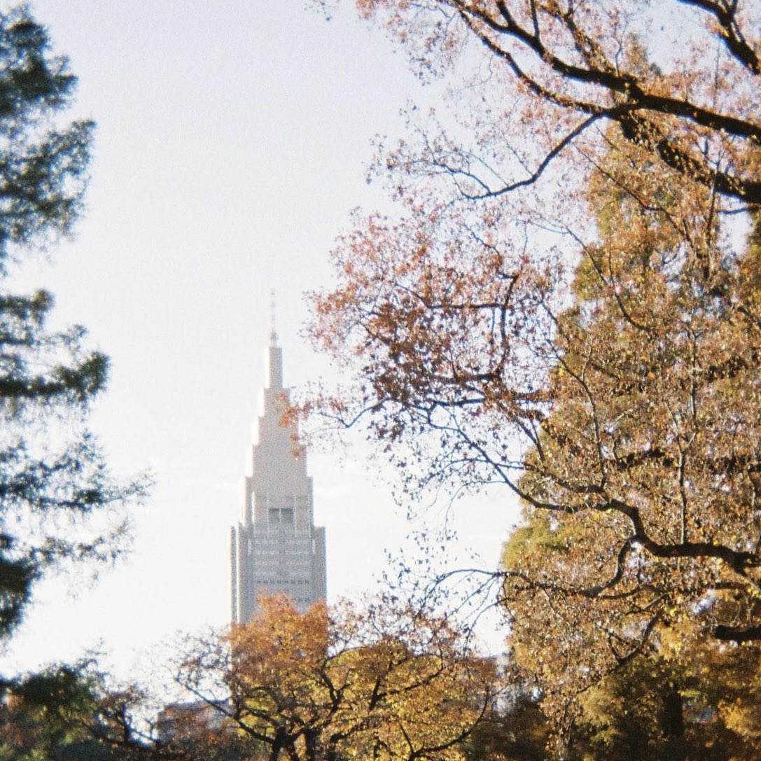 shirokanephoto's tweet photo. 新宿御苑にて紅葉の撮影会を行いました🍁 https://t.co/PJLY0jXYoE