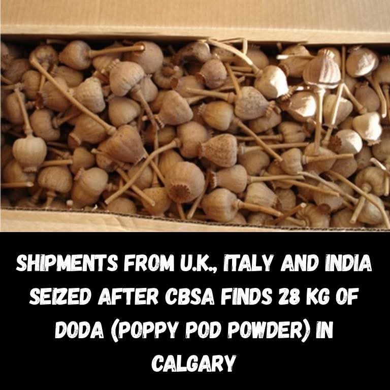 FreedomNEWS45's tweet image. 🚨 India no 1 supplier of the drugs to Canada 🚨