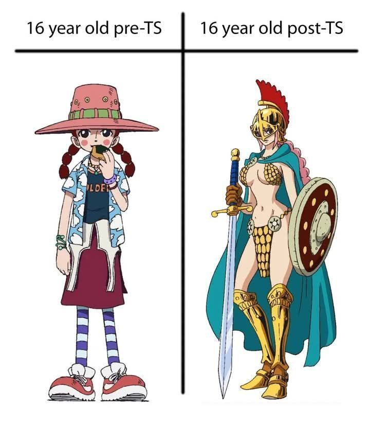 One Piece Daily tweet media