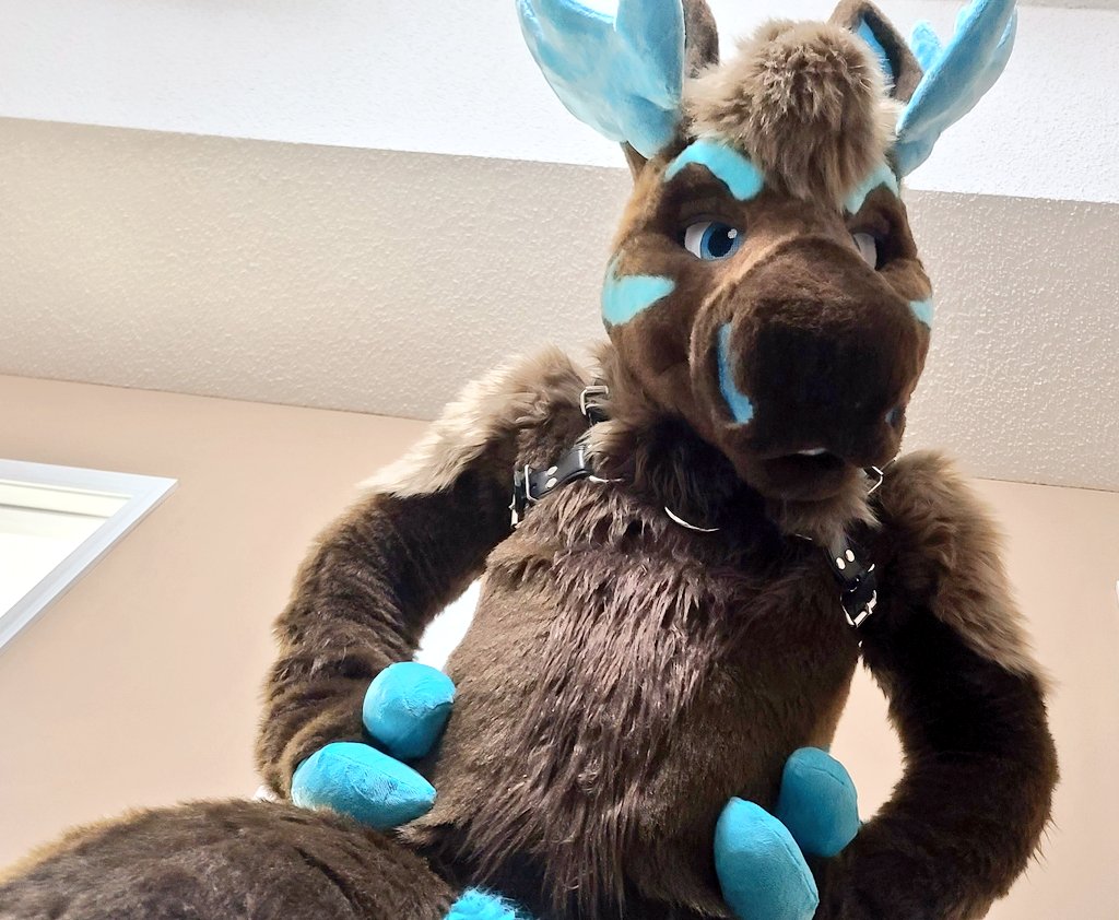Big ol Moose notices you 
Oh hi! Don't mind me!