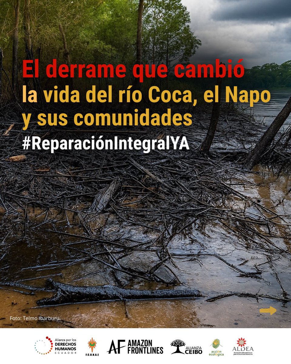 📢El 7 de abril de 2020, más de 15.800 barriles de crudo contaminaron los ríos #Coca y #Napo y afectaron a más de 118.000 personas, en su mayoría comunidades kichwas.
#ReparaciónIntegralYA 🧵

<a href="/el_pais/">EL PAÍS</a> <a href="/EFEnoticias/">EFE Noticias</a> 
<a href="/CIDH/">CIDH - IACHR</a>  <a href="/dw_espanol/">DW Español</a>
<a href="/teleSURtv/">teleSUR TV</a> <a href="/EFEnoticias/">EFE Noticias</a>
<a href="/France24_es/">FRANCE 24 Español</a>