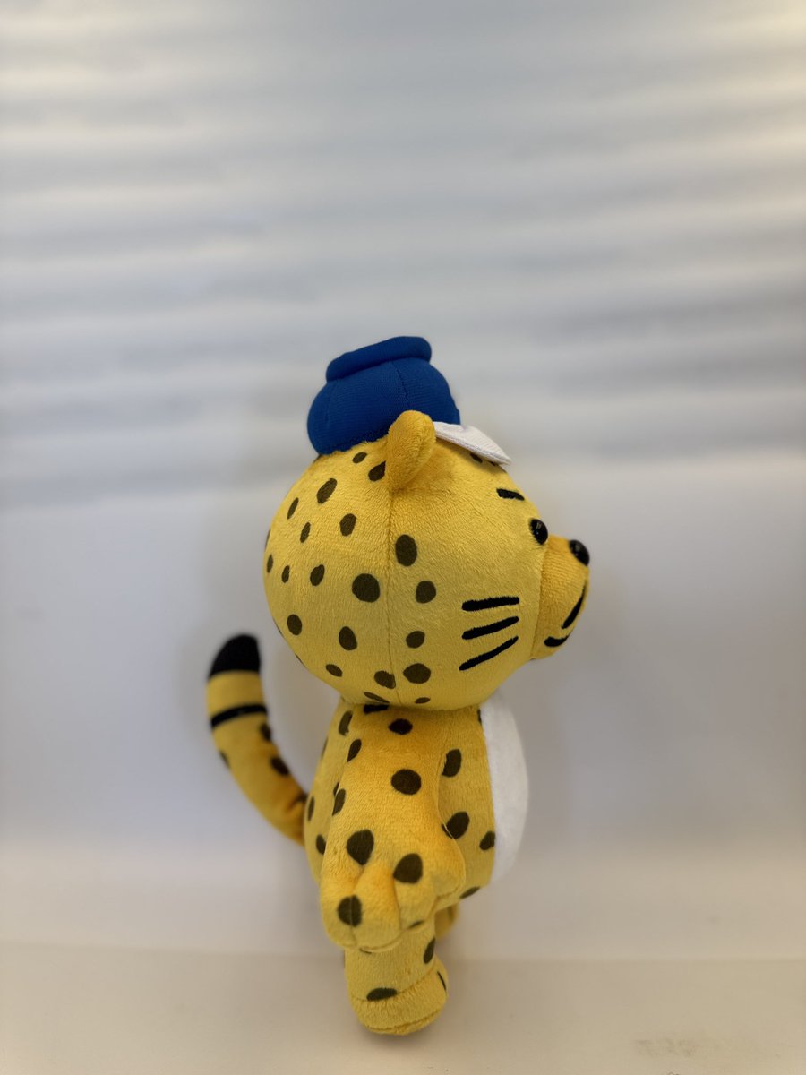 チータさまおまとめ ついに販売開始‼️】ぼくのぬいぐるみが完成ミャウ😸。ぬい活で