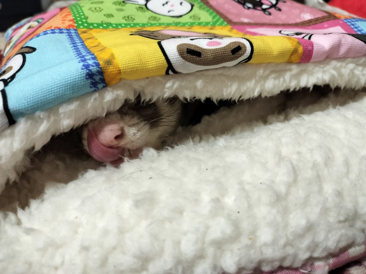 ivy5835's tweet photo. https://t.co/0AU2Pj8GMk