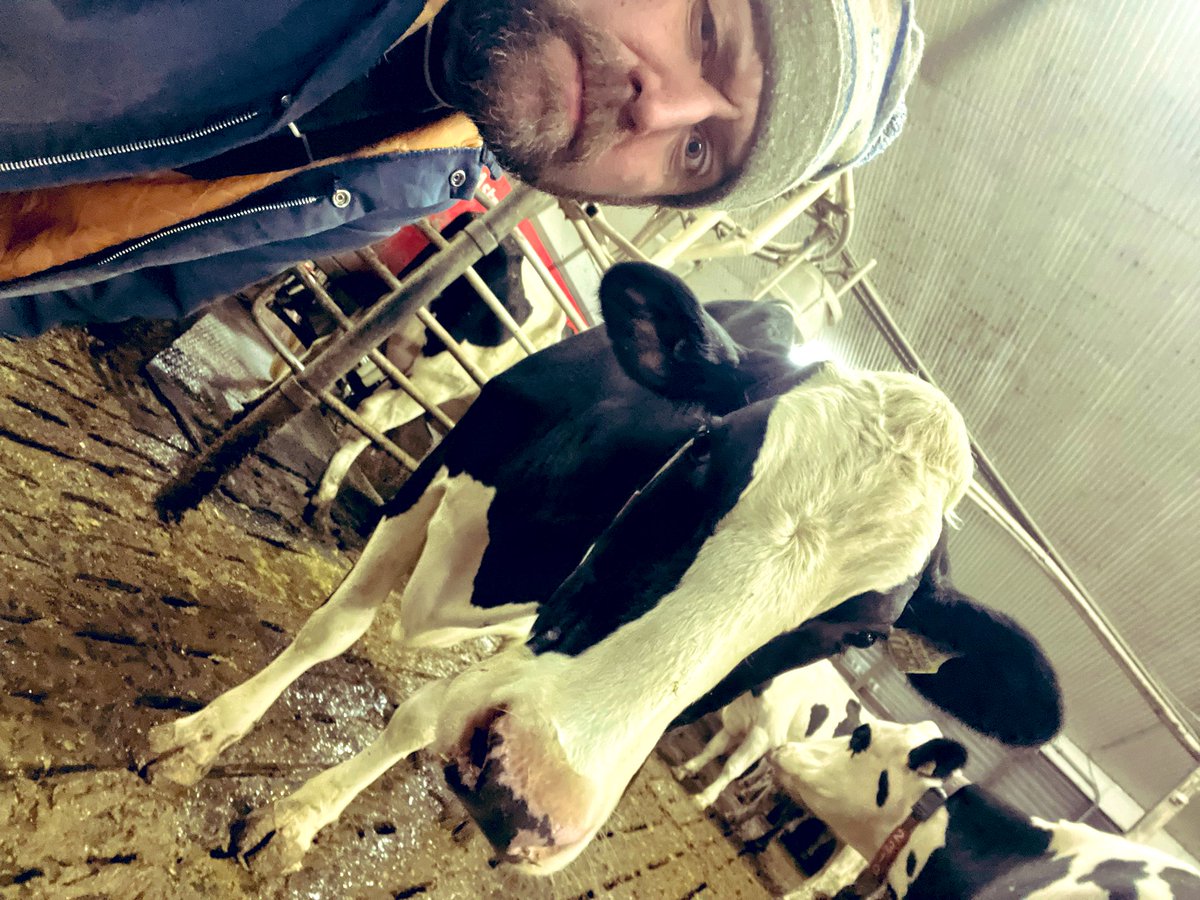 Bernie Kamphof tweet media