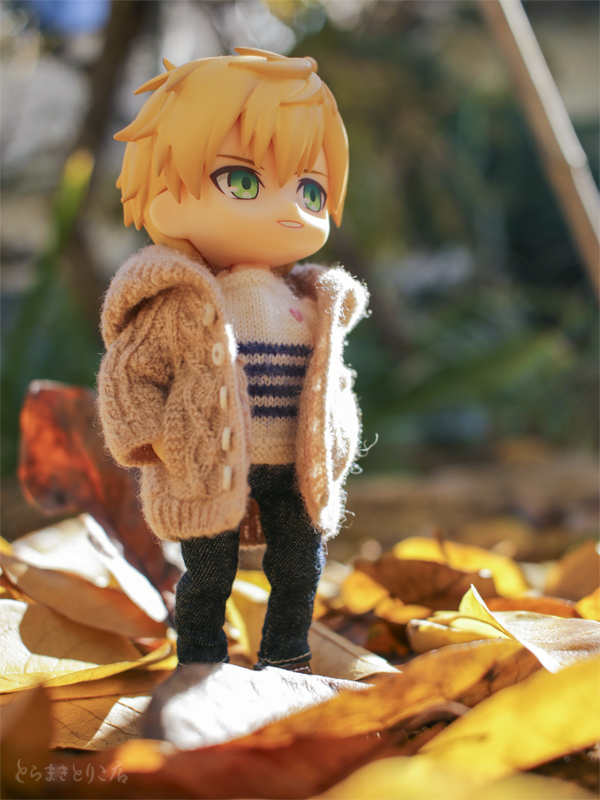 今日から師走？　いやいやいやﾏｲｯﾀﾅ
#ねんどろいどどーる