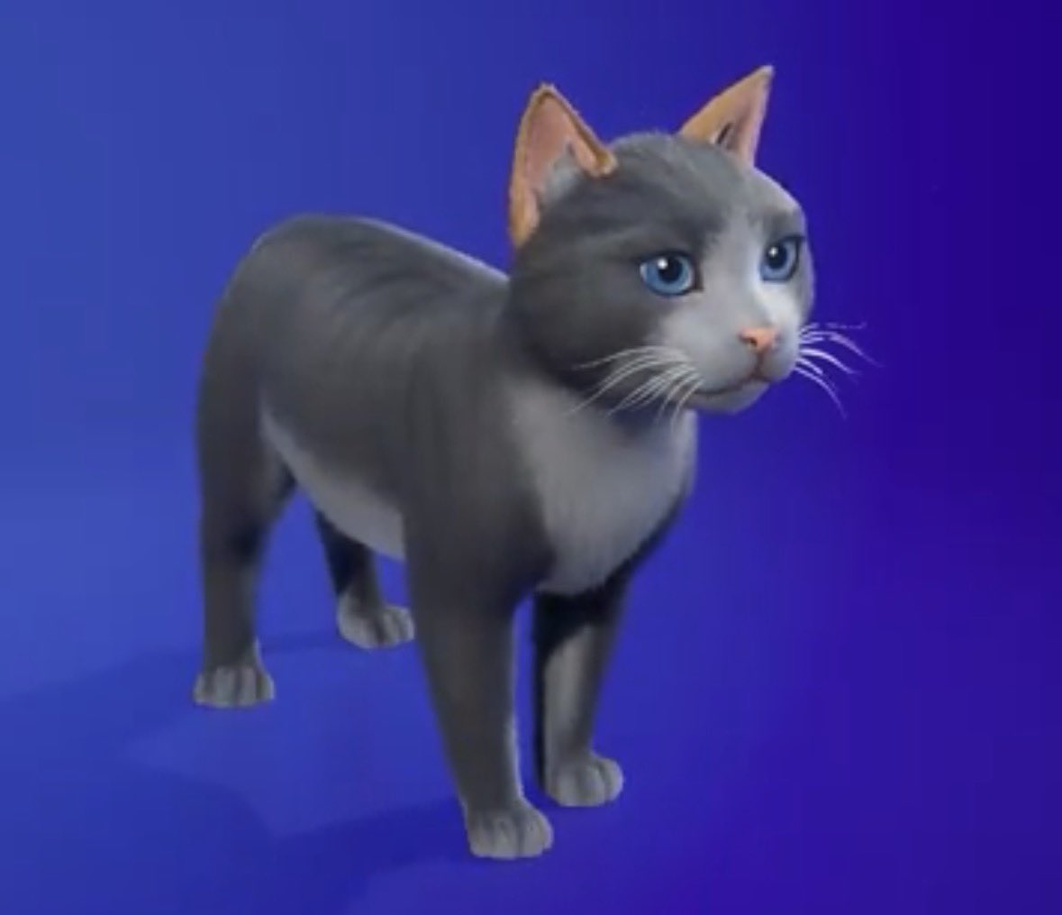 kallie slays tweet media