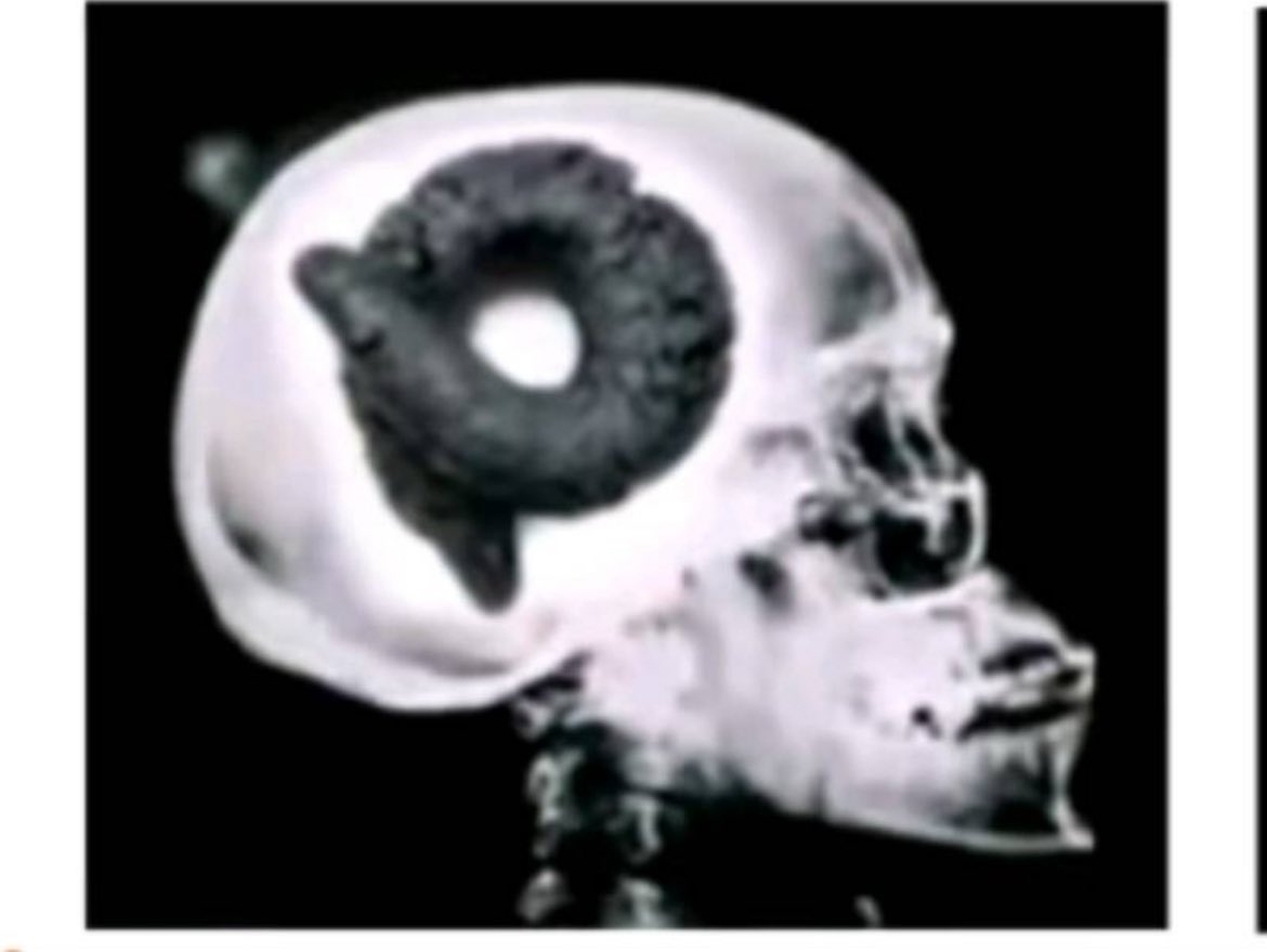 joeyertt's tweet image. lmao deleted entire digital footprint but posting here