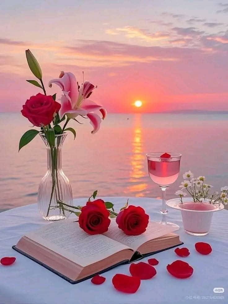 أصبحنا وأصبح الملك لله 
لا إله إلا الله وحده لاشريك له 
له الملك وله الحمد وهو على كل شيء قدير

اللهم انا أصبحنا نسأُلك أمانًا لقلوبنا
ولطفا بأمرنا وسلامة في دربنا

صباحكم بشاير خير وبركة وهنا 🤍❤️