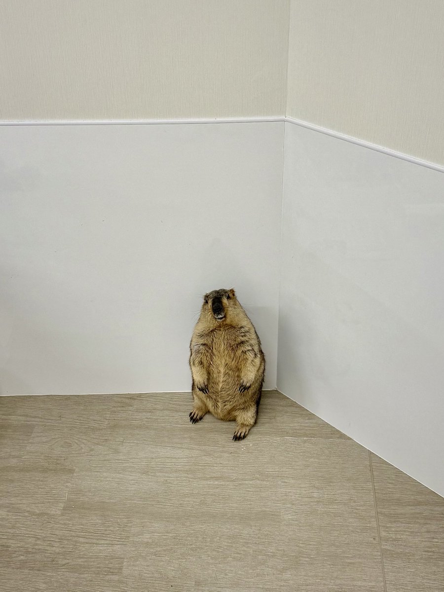 額つき❗しあわせのトンボ SixTONES - RAM-PAM-PAM (FocusCam @ Marine