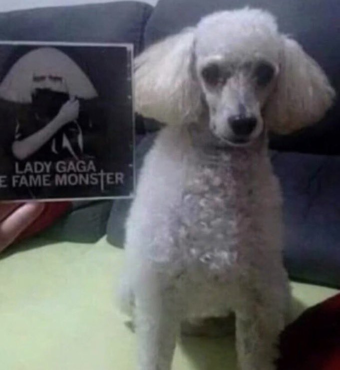 acervogeral's tweet image. comparação entre a capa do the fame
monster e o penteado de um poodle