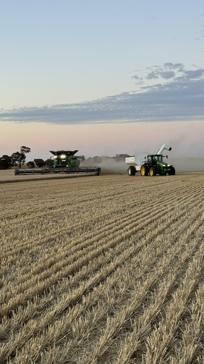 Julia Hausler tweet media