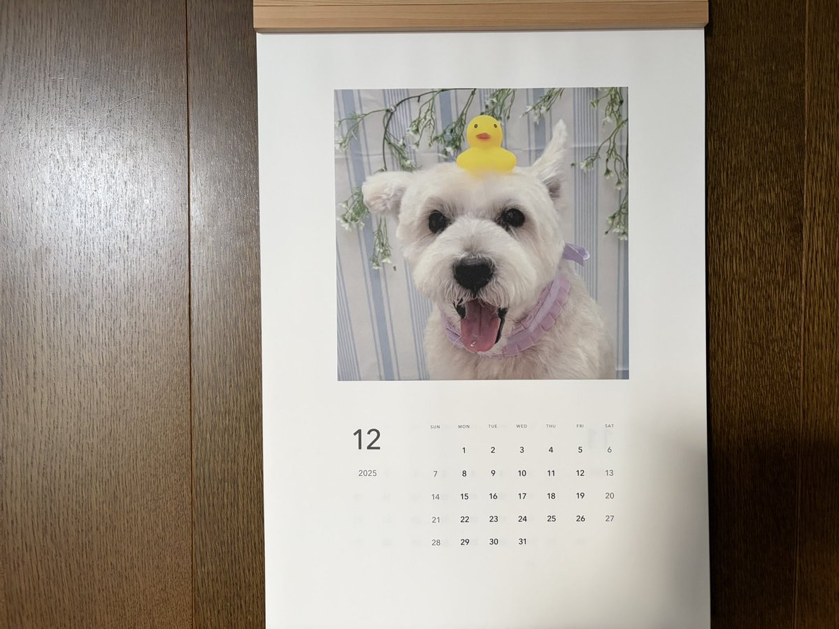 12月がスタートしたワン🐶早いもので今年もあと少しだワン🐶
今月もよろしくワン🐶☺️