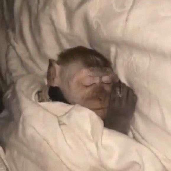 i14nn's tweet image. الساعة 12 بالليل بالاجازة            الساعة 2:00 وبكره                                                                      
                                                             عندك دوام