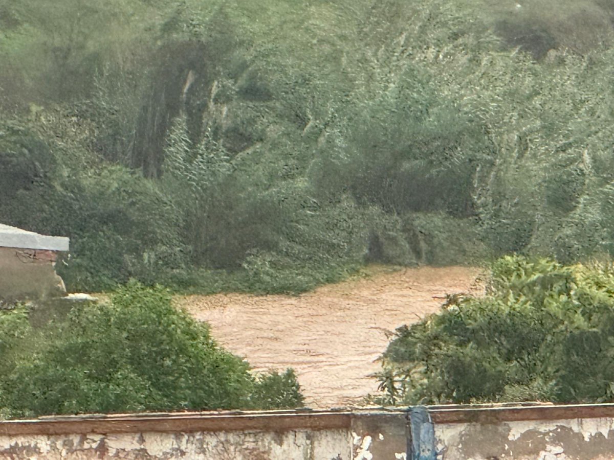 fransoyu's tweet photo. #SalvadosSalomePradas Torrent desde las 15 hasta las 18’30h, la alarma suena a las  20’11h https://t.co/Z6Z66ntf6I