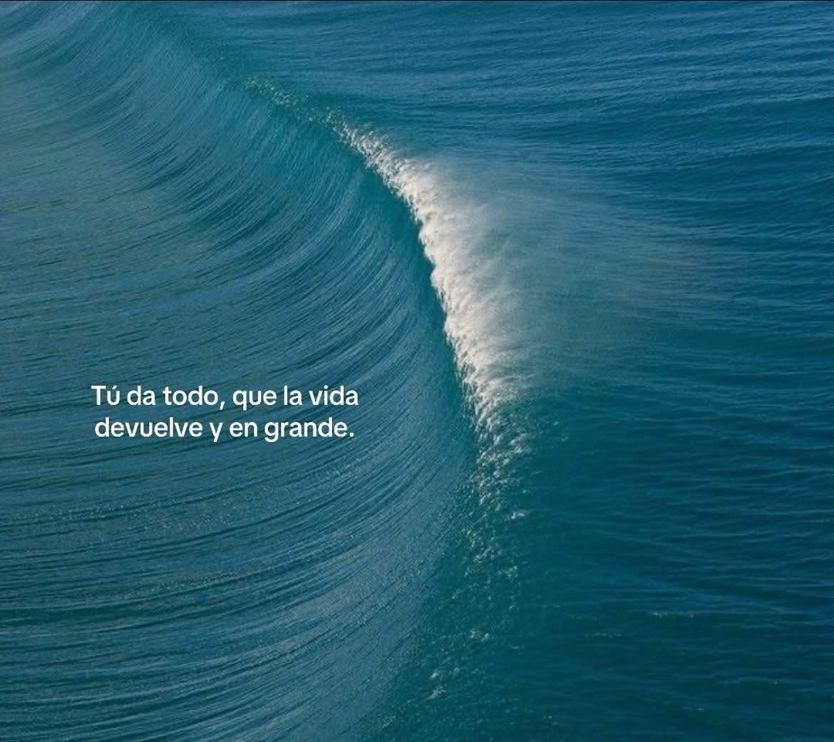 BANDIDOS (@bandidosfrasess) on Twitter photo 