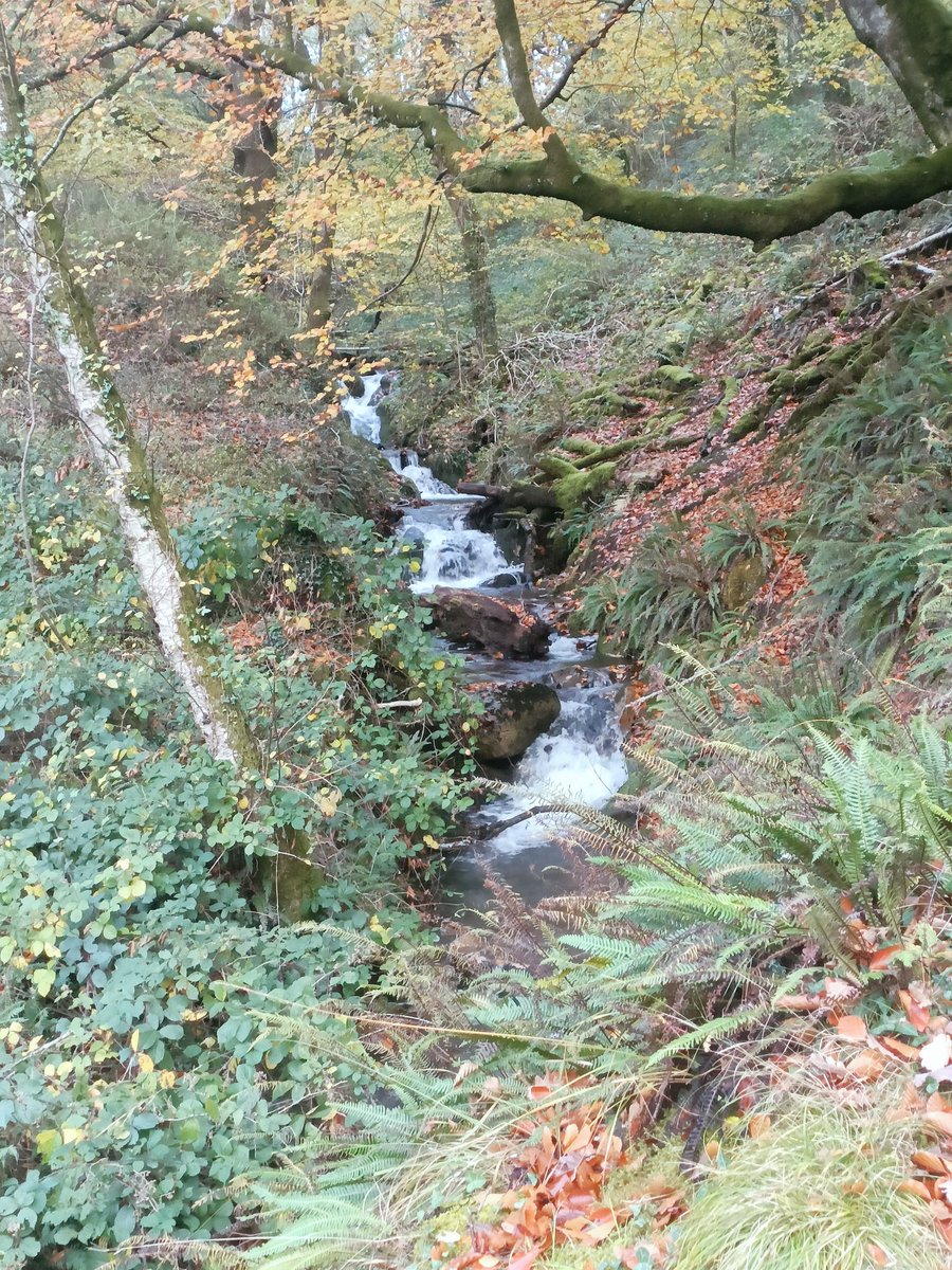 CascadeCumbria tweet media