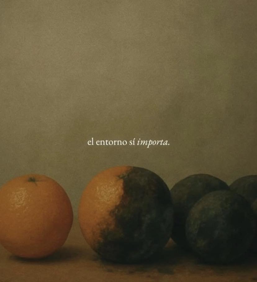 BANDIDOS (@bandidosfrasess) on Twitter photo 