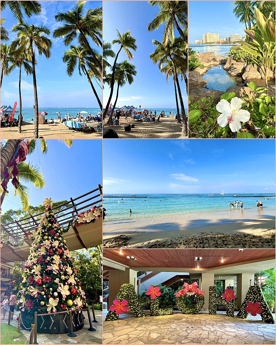 fujikko ❧ tweet media