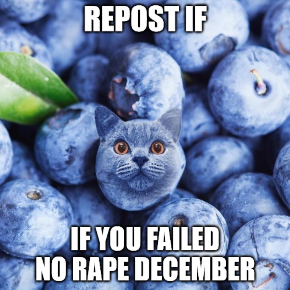 HowlingElphaba tweet media