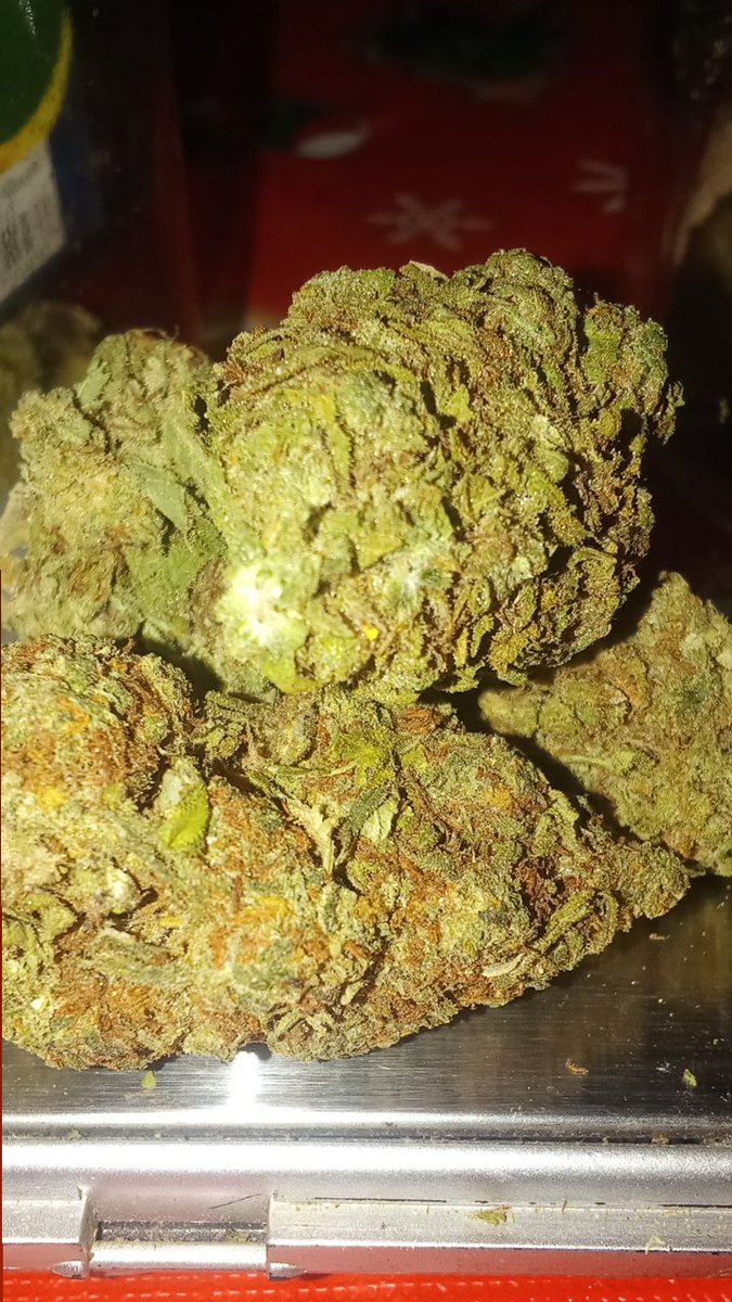 velvetsmokemx's tweet image. Berry Cream calidad Outdoor 🫐🍦
Aprovecha nuestra promo!!🔥🚀
Llévate  2Oz+ 2Prerolados Greenhouse x solo $700✨🎁
Solo en la @velvetsmokemx 
#cdmx #dispemsario #thc #hibrida #weed