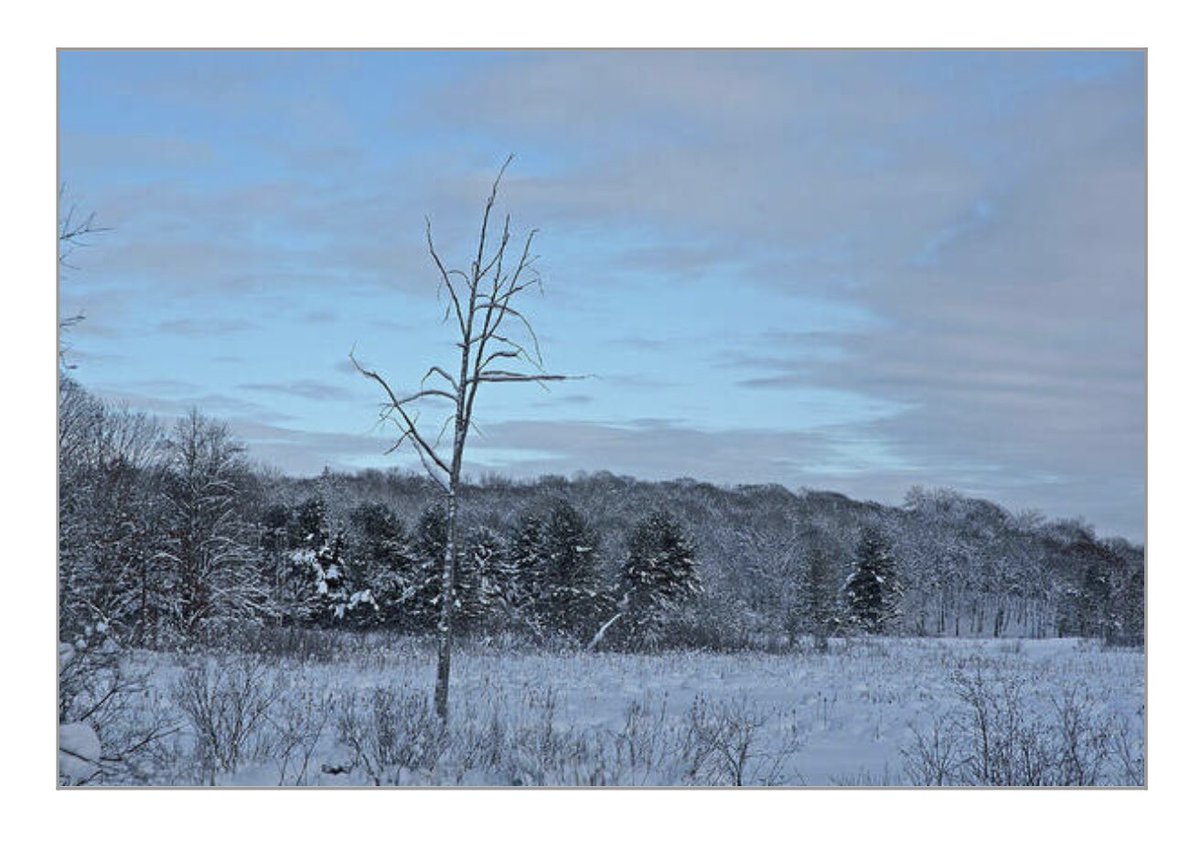 shonna99784's tweet photo. 25% off wall art

Alone, Parry Sound https://t.co/XkKS7JHuSm

1. Framed Print
2. Canvas
3. Acrylic
4. Art Print

You can choose whichever you want. These are all the popular 20x30” but choose what you want.

#Alone #ParrySound #LeaflessTree #BuyIntoArt #ShonnaHawkins #GiftIdeas https://t.co/w90dEYzfrd