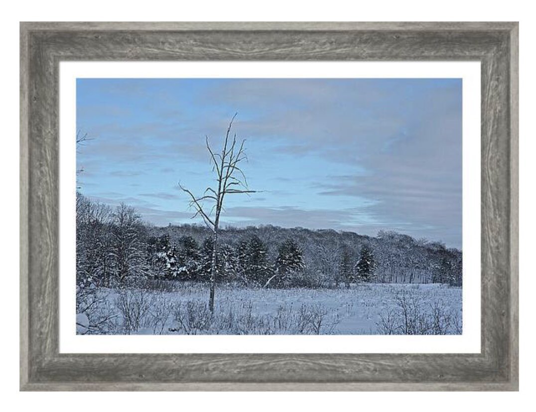 shonna99784's tweet photo. 25% off wall art

Alone, Parry Sound https://t.co/XkKS7JHuSm

1. Framed Print
2. Canvas
3. Acrylic
4. Art Print

You can choose whichever you want. These are all the popular 20x30” but choose what you want.

#Alone #ParrySound #LeaflessTree #BuyIntoArt #ShonnaHawkins #GiftIdeas https://t.co/w90dEYzfrd