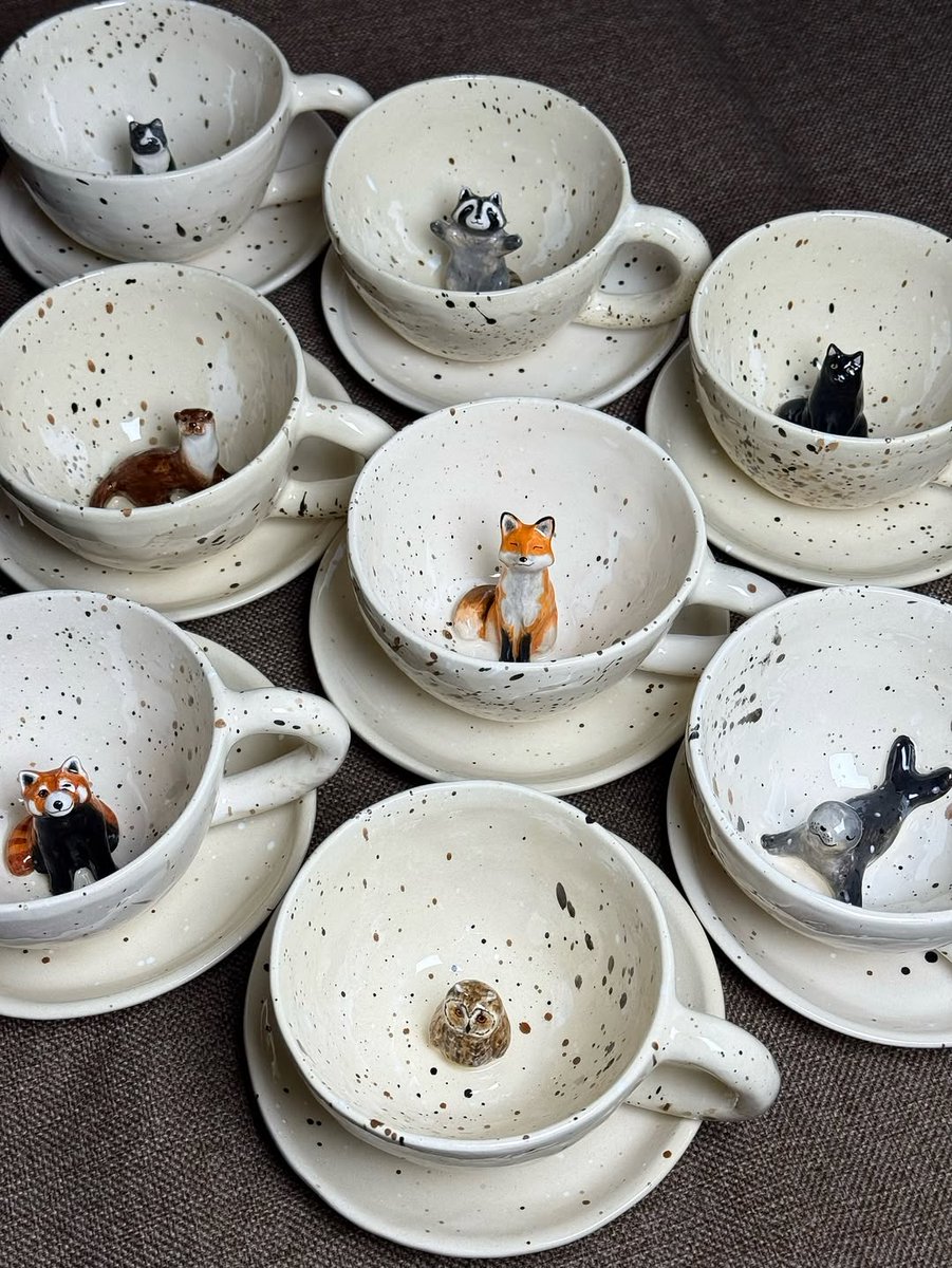 TheFoxLife's tweet image. So… which one?