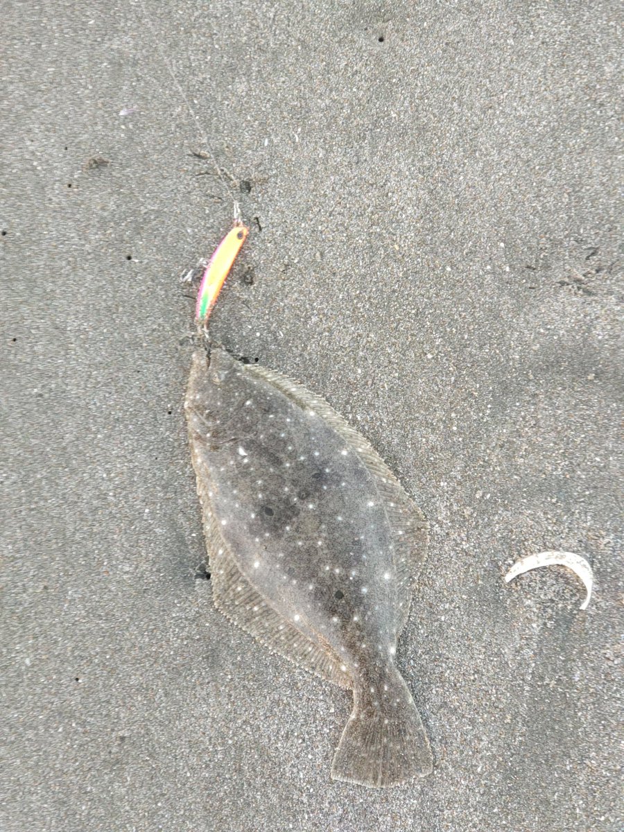 昨日はサーフ感謝祭に参加❣️ 激シブのため……ウェイン出来ず😭 そげ