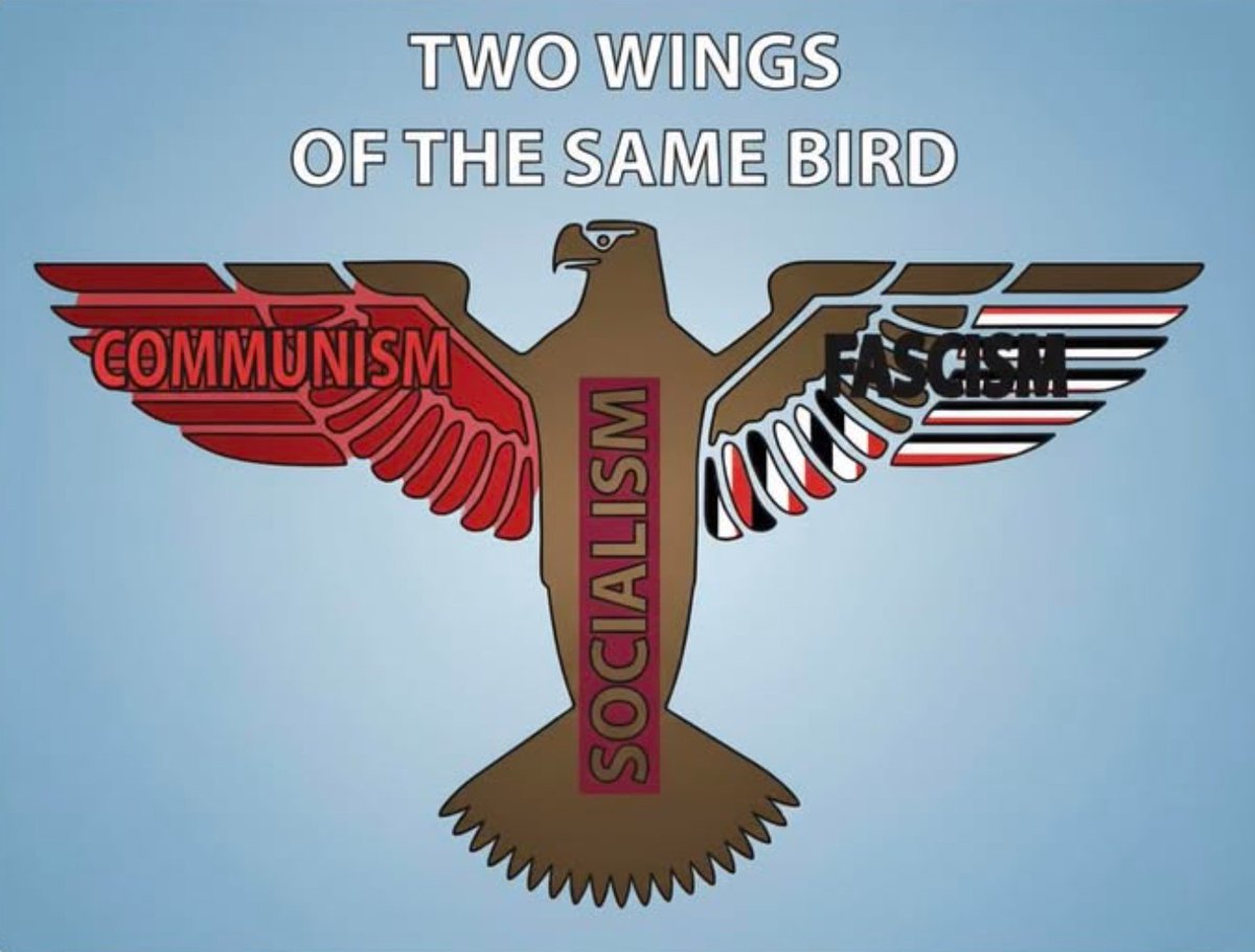 XAlienZ69's tweet photo. @NewsroomNZ Chris Hipkins shit for brains just told us all he was a proud communist!

please remember this at elections!

Communism is the DEATH of MILLIONS https://t.co/k9xUpGUyiL