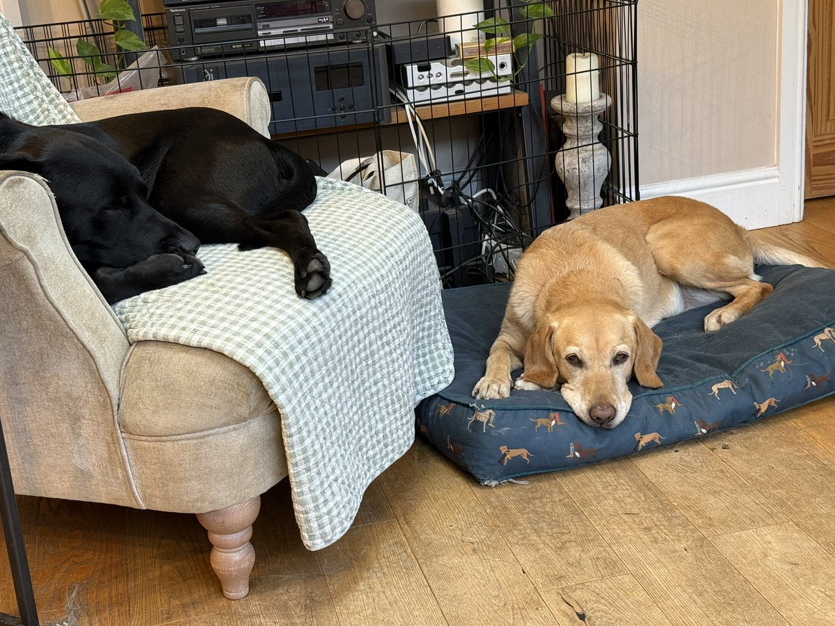 Dinan Gunawardena tweet media