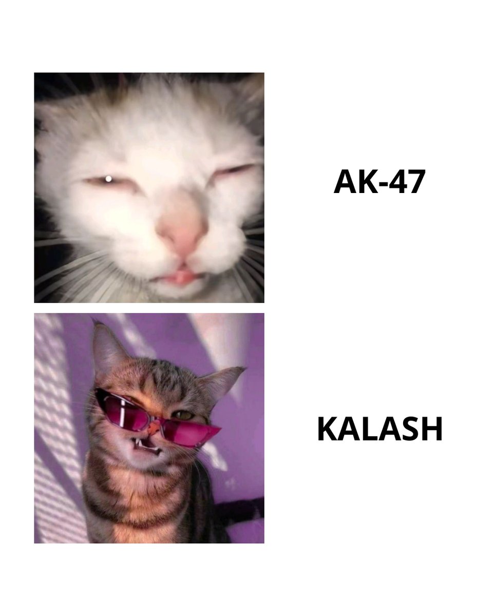 csfail2020's tweet image. True take 😎