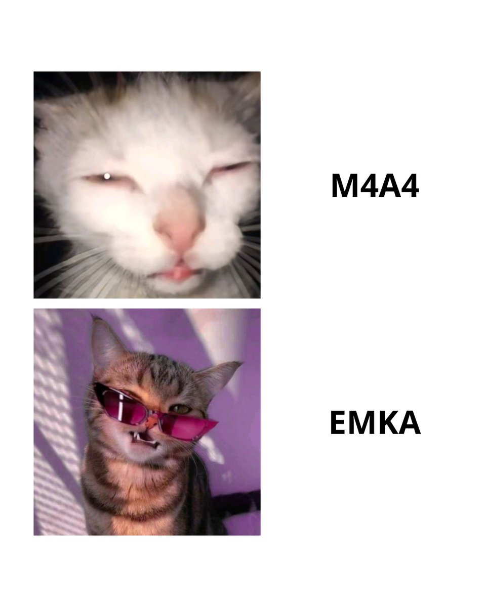 csfail2020's tweet image. True take 😎