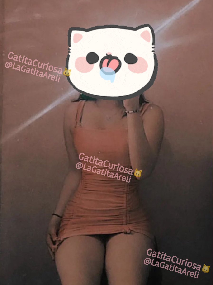 𓃠 Gatita Curiosa ❁ tweet media