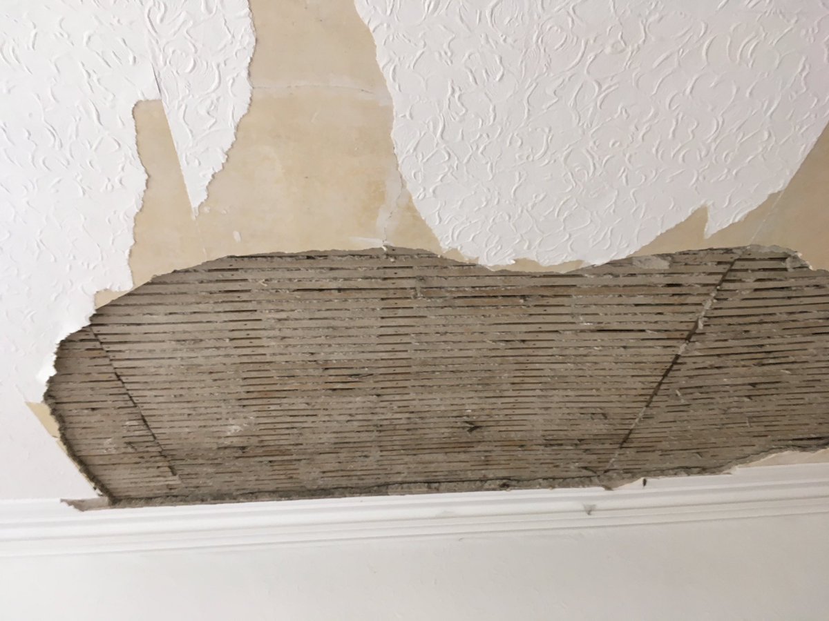 Pegasus Plasterers tweet media