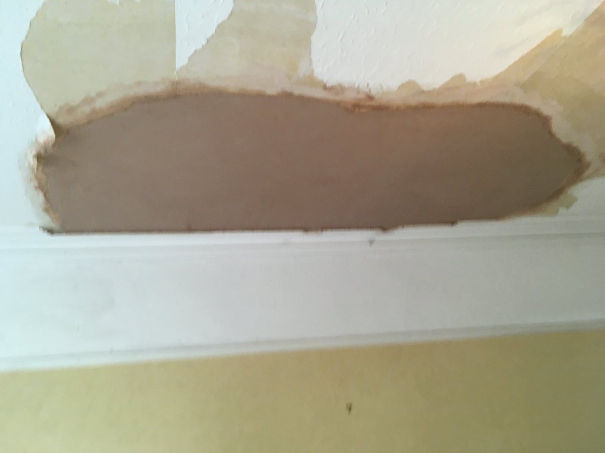 Pegasus Plasterers tweet media
