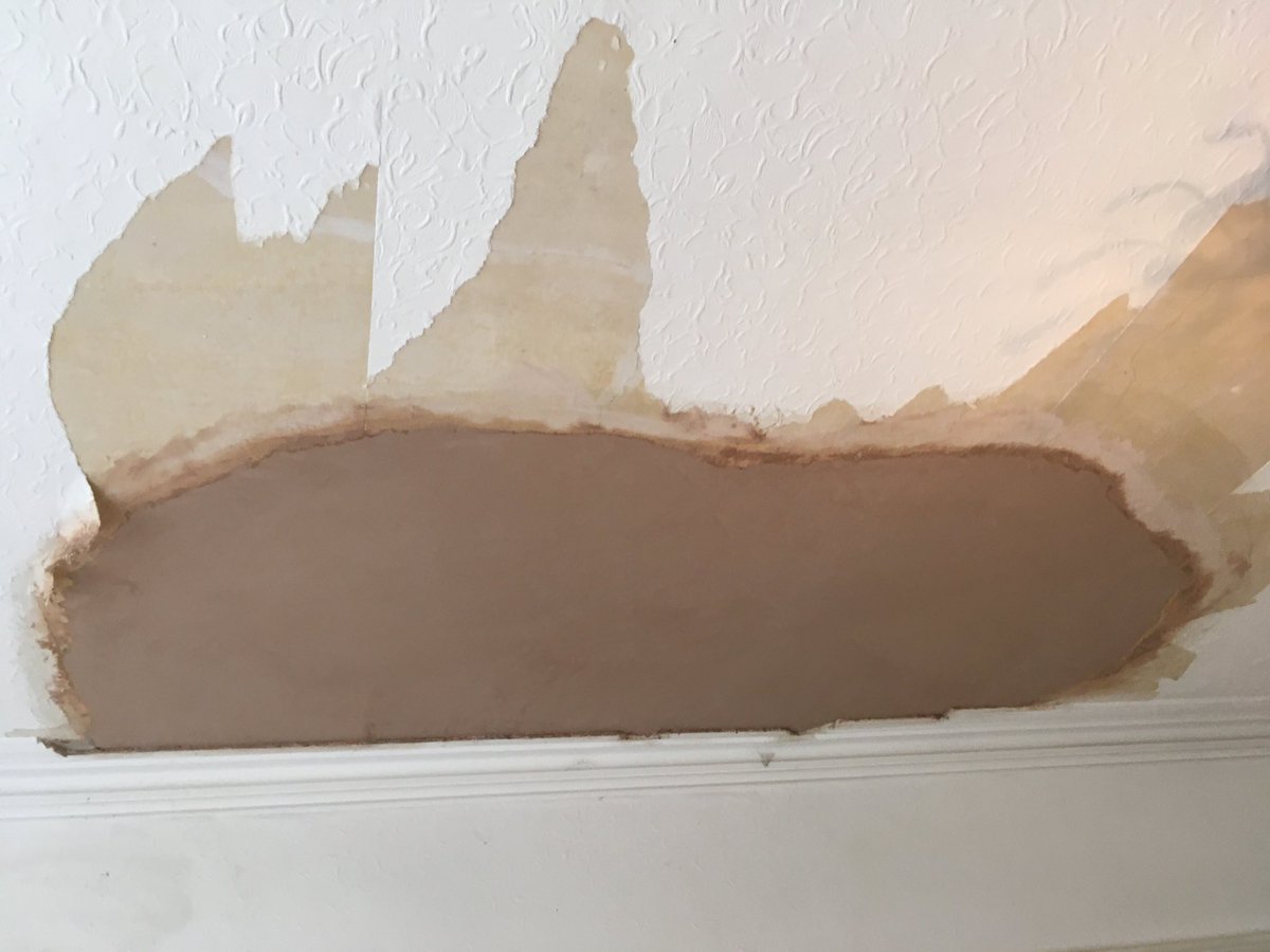 Pegasus Plasterers tweet media