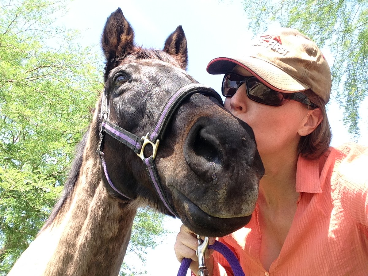 GloriousAllianc's tweet image. An update for those who asked: We&apos;re slowly getting there. We&apos;ve received an additional monthly donation of $100 per month. We&apos;re now only $2K in monthly donations away from coming back from loss of donors due to job loss, medical bills and the LA fires. 20 at $100, 40 at $50, or…