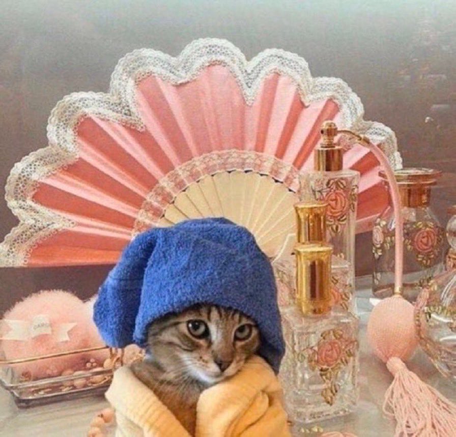 me liking sasamiya fanart despite reading only 20 chapters of it