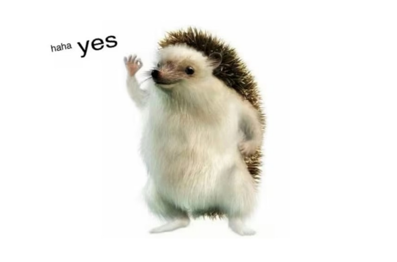 Dax_Chatter3's tweet image. I never thought I’d end up meeting him.

#Tesla #TeslaLife #Model3 #EVCommunity #ElectricFuture #DriveTesla