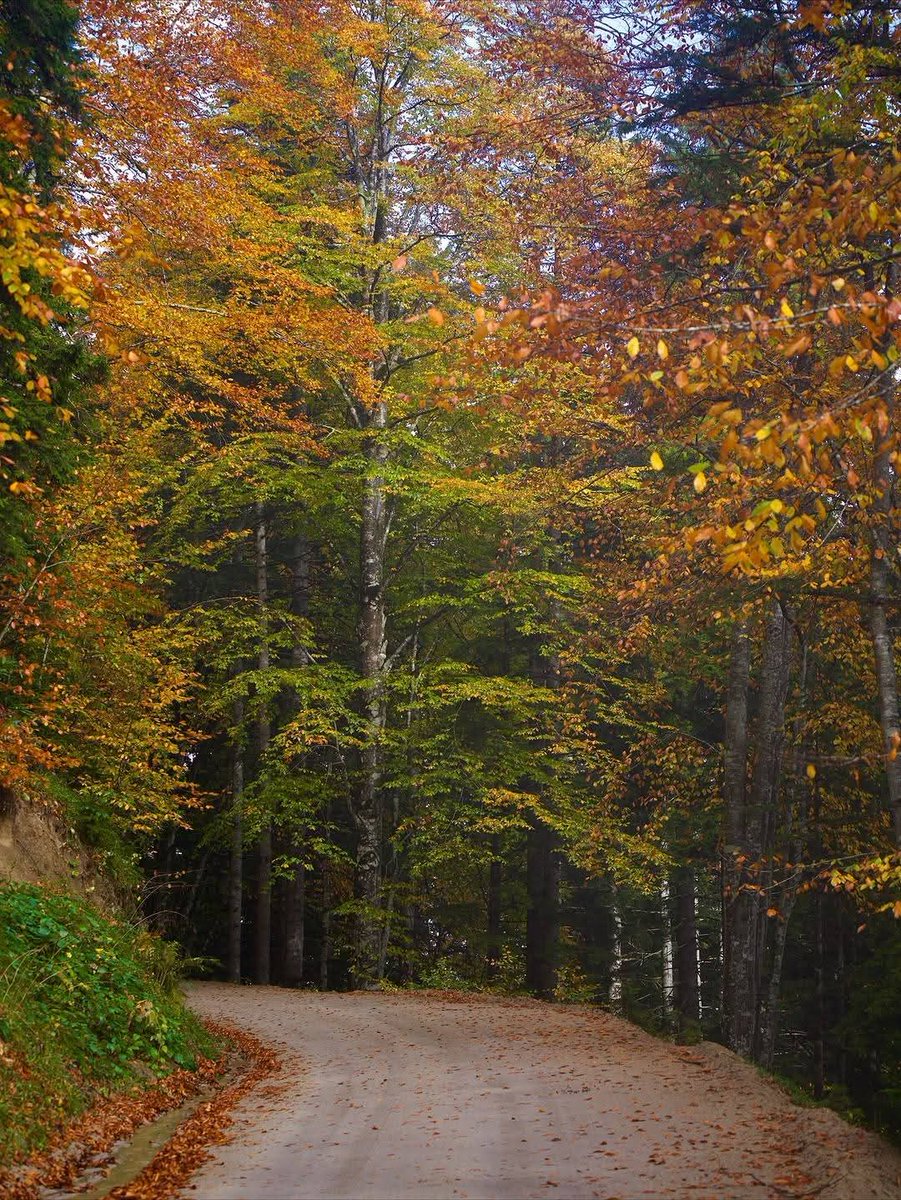 Hayat kaç dakika nefes aldığımız değildir aslında.,
Hayat, nefesimizi kesen kaç dakika yaşadığımızdır...😉
#sonbahar #gerede #aşk #rengarek #anıyaşa #قرعة_كاس_الملك
#ECZDNC #eczdnc <a href="/eczdnc/">Eyp Czdnc</a>
