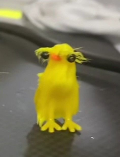 en vivo 
-repeticion de los squids de chill
-lo nuevo de fortnite