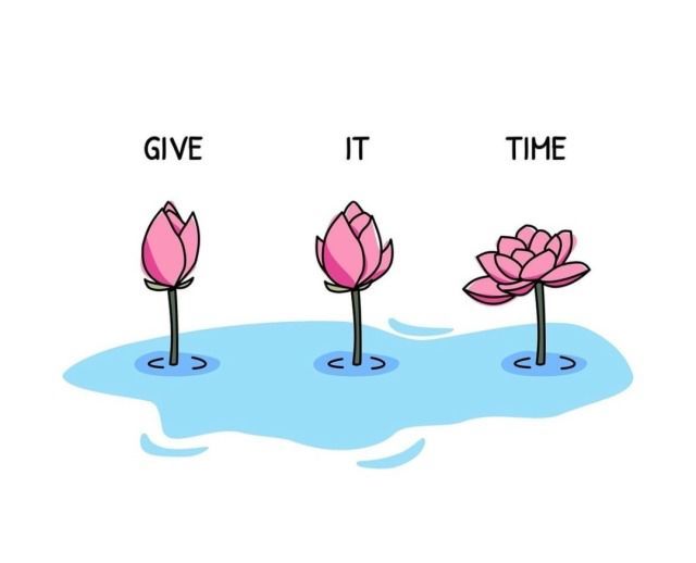 only cute things (@cutedreamvibes) on Twitter photo 