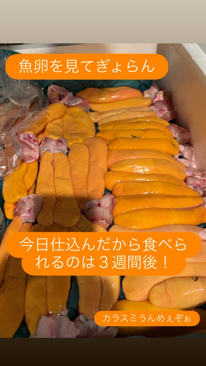 やす (@yasu3322) / Posts / X