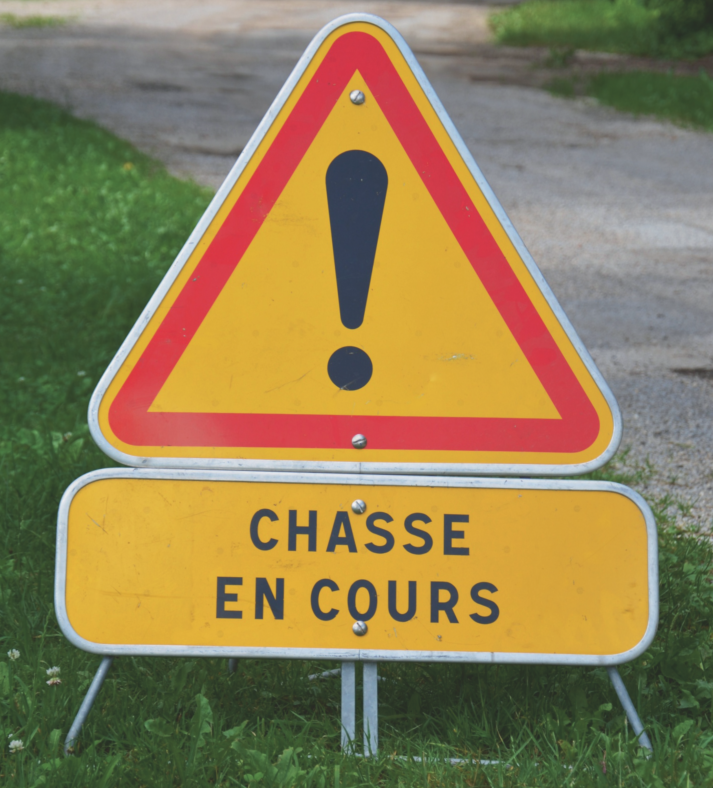 Dimanche 30 novembre 2025
👉#Hérault : un chasseur en urgence absolue après un tir accidentel😟

🚨france3-regions.franceinfo.fr/occitanie/hera…

#Danger #chasseurs #accident #Insécurite #sete #StopChasse #nature #environnement #loisir #homicide <a href="/Ecologie_Gouv/">Min. Ecologie Territoire Transports Ville Logement</a> #montpellier