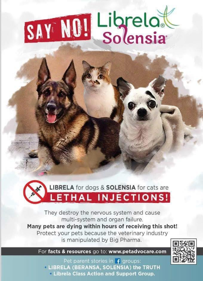 badpetmeds's tweet image. Librela is an injection for osteoarthritis for dogs.  Also known as Beransa in Australia/New Zealand.
Solensia is the same except for cats.