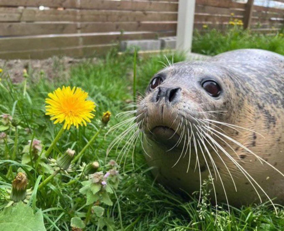 I love Audi Crooks so much bro