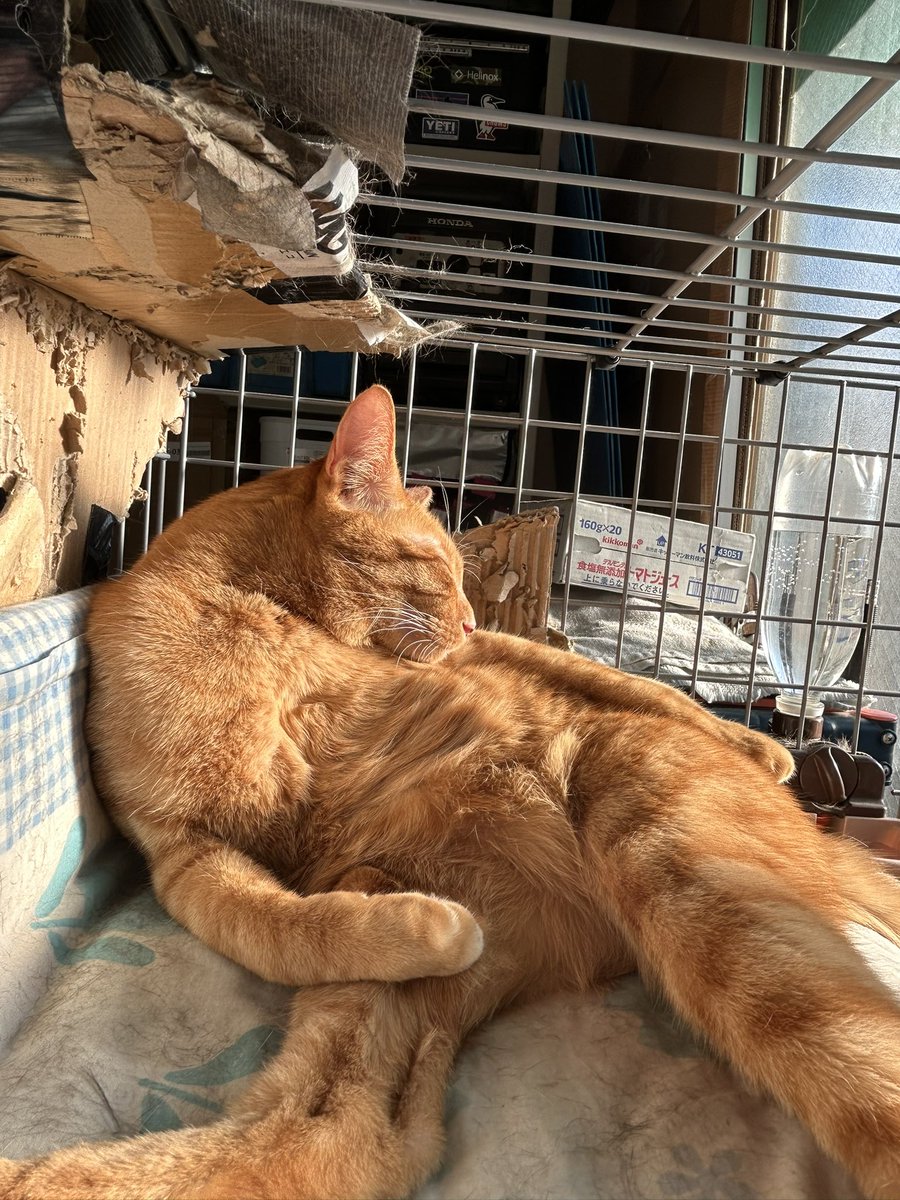 H I R O M I (@HIROMI66136439) / Posts / X