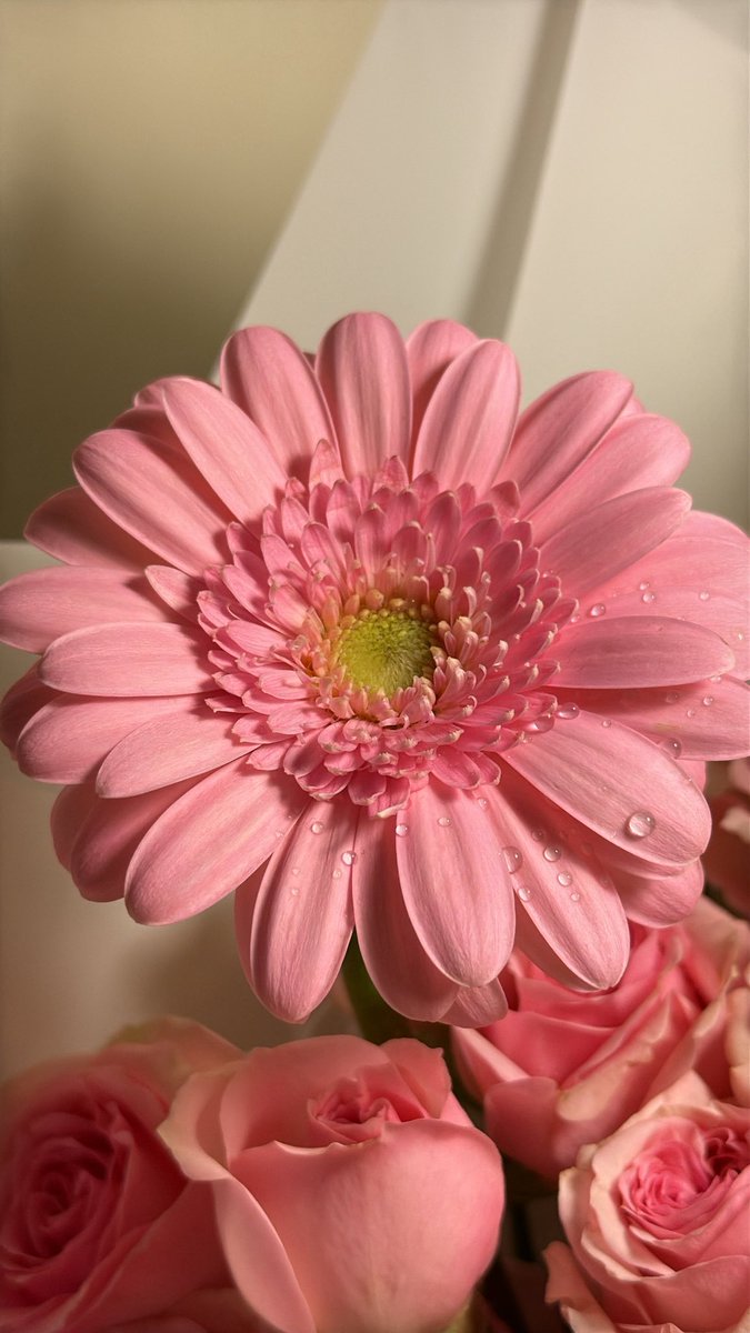 mlltii's tweet image. ❤️