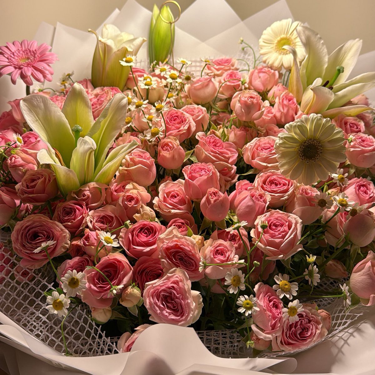 mlltii's tweet image. ❤️