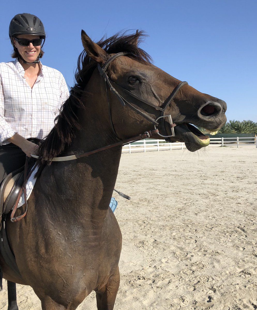 GloriousAllianc's tweet image. Pie is a loud diva in the arena at times, so K lets her opine and waits patiently to resume the workout.